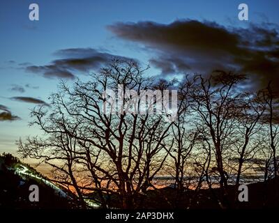 Silhouette d'arbres contre le ciel et les montagnes dans la soirée sur la Rosa Khutor balcon de l'hôtel Banque D'Images