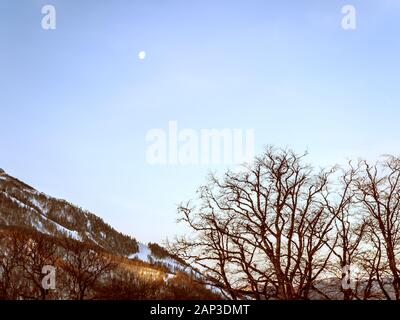 Silhouette d'arbres contre le ciel et les montagnes dans l'après-midi sur l'Rosa Khutor balcon de l'hôtel Banque D'Images