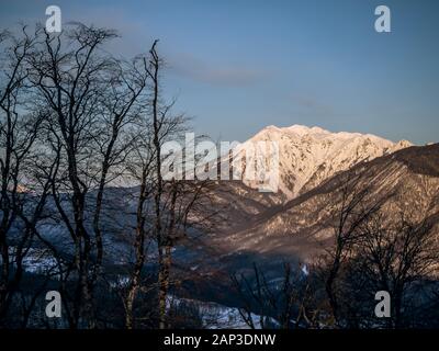 Silhouette d'arbres contre le ciel et les montagnes dans l'après-midi sur l'Rosa Khutor balcon de l'hôtel Banque D'Images