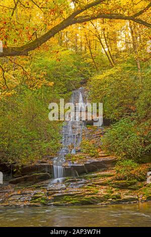 Toms calme branche tombe à l'automne dans les Great Smoky Mountains en Caroline du Nord Banque D'Images