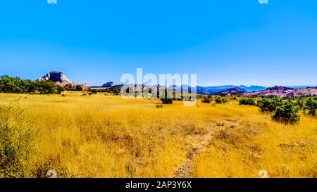 Le Grasslands Et Pine Valley Peak Sur Le Plateau Kolob Dans Le Parc National De Zion, Utah, États-Unis. Vue sur Kolob Terrace Road Banque D'Images