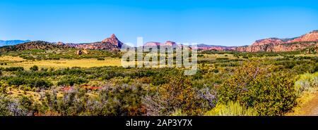 Panorama vue sur le plateau Kolob dans le parc national de Zion, Utah, États-Unis. Vue sur Kolob Terrace Road avec Pine Valley Peak Banque D'Images