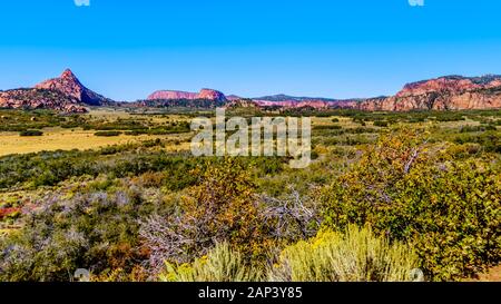 Vue sur le plateau de Kolob et la vallée de Pine dans le parc national de Zion, Utah, États-Unis. Vue sur Kolob Terrace Road avec Pine Valley Peak Banque D'Images