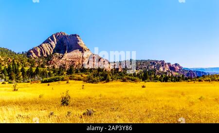 Le Grasslands Et Pine Valley Peak Sur Le Plateau Kolob Dans Le Parc National De Zion, Utah, États-Unis. Vue sur Kolob Terrace Road Banque D'Images