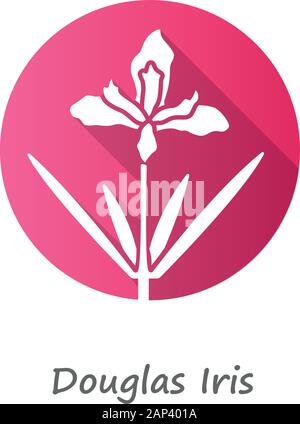 Iris Douglas plant design plat rose ombre portée de l'icône de glyphe. Californie wildflower en fleurs. Fleur de jardin, les mauvaises herbes. Iris douglasiana inflorescence. Sprin Illustration de Vecteur