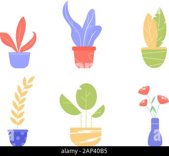 Ensemble de différentes fleurs et plantes en pots. Illustration de Vecteur