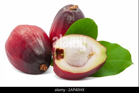 fruit de pomme malais isolé sur fond blanc Banque D'Images