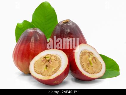 fruit de pomme malais isolé sur fond blanc Banque D'Images