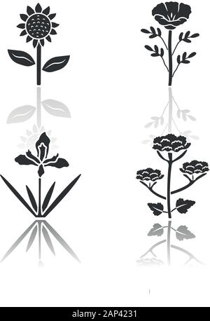 Fleurs sauvages noir ombre glyph icons set. L'Helianthus, pavot de Californie, douglas iris, la berce laineuse. Fleurs sauvages en fleurs, les mauvaises herbes. Son champ, pré Illustration de Vecteur