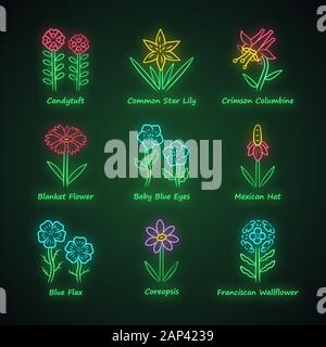 Fleurs sauvages neon light icons set. Thlaspi, Lily, crimson star commun ancolie, blue eye, linum, coreopsis, wallflower franciscaine. Fleurs sauvages, wee Illustration de Vecteur