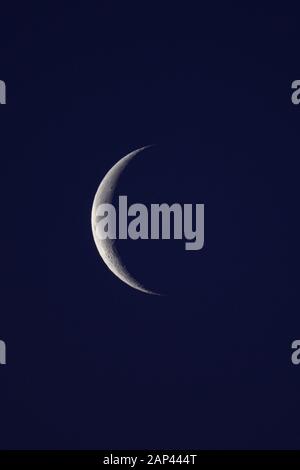 Oldenburg, Allemagne. 21 Jan, 2020. Le dernier croissant lune durant l'heure bleue le matin. Credit : Mohssen Assanimoghaddam/dpa/Alamy Live News Banque D'Images