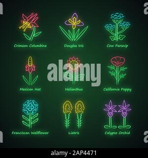 Fleurs sauvages neon light icons set. Columbine Crimson, iris, la berce laineuse, helianthus, Poppy, wallflower franciscaine, liatris, orchidée. Les fleurs sauvages, la lutte contre les mauvaises herbes. Illustration de Vecteur