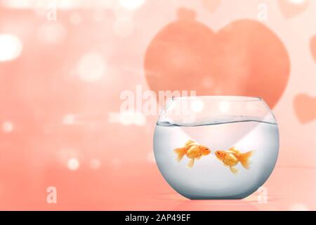 Valentines Day Present Aquarium Avec Des Poissons Et Des Roses Boutique De Fleurs Bouquet De Roses Rouges Dans La Case Floral Design Amour Et Passion Sentir La Passion Poisson Rouge Dans Un