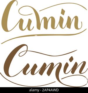 Texte de cumin écrit à la main vectorielle isolé sur fond blanc. Cuisine herbes et épices saines pour la cuisine. Script de lettrage de pinceau avec des florissants. Illustration de Vecteur