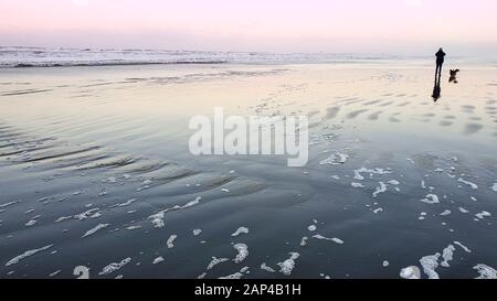 En fin d'après-midi, sur une plage d'hiver froide, un homme et son chien de corgi gallois font des randonnées le long de la rive de l'eau, l'île de la mer frison Wadden Ameland, Pays-Bas Banque D'Images