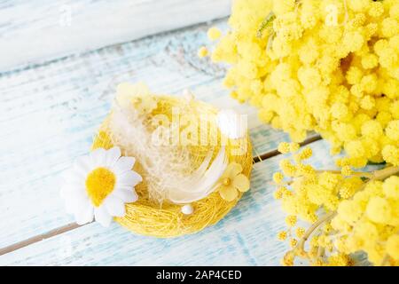 Une composition pour la célébration de Pâques. Une petite plume d'oiseau blanc, légère et dainty dans un nid de fleurs de Mimosa. Symbole du renouveau de la vie. Vacances Banque D'Images