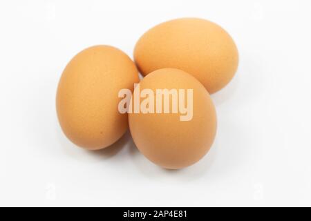 Oeufs isolé sur fond blanc Banque D'Images