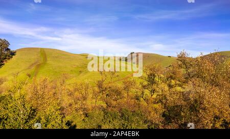 Vue du coucher de collines verdoyantes dans un des parcs régionaux de l'Est de la baie de San Francisco, Californie Banque D'Images