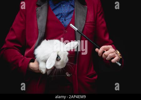 Magicien montre tour avec disparition lapin blanc dans la valise magique magique, fond noir Banque D'Images