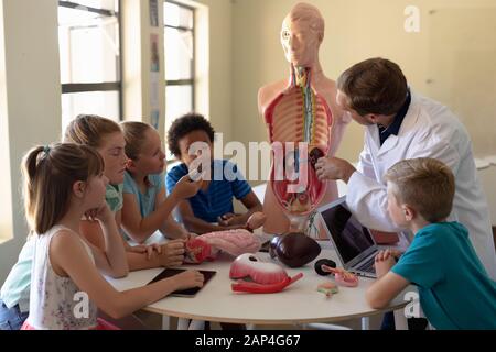 Groupe d'enfants de l'école primaire travaillant avec le modèle d'anatomie Banque D'Images