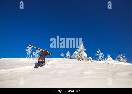 Le skieur monte en montée pour la neige fraîche au freeride le jour ensoleillé de l'hiver Banque D'Images