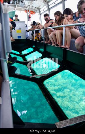 Les personnes visitant la Grande barrière de corail et voyageant sur un bateau à fond de verre en regardant le corail dans l'eau bleue, Queensland Australie Banque D'Images