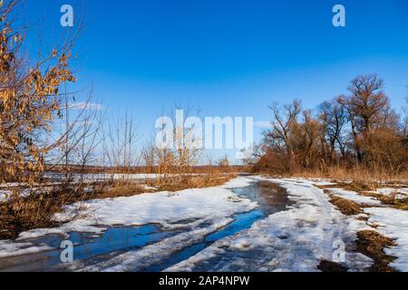 Forêt et champ au début du printemps. Des flaques sur la route. Décongeler. Banque D'Images
