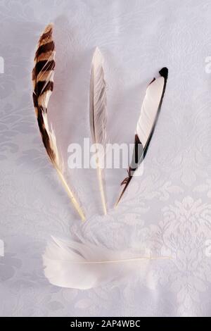 Photo verticale de trois plumes d'oiseau blanc sur tissu de soie avec motif. Banque D'Images