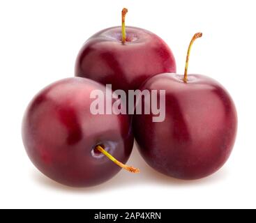 Chemin de prune rouge isolated on white Banque D'Images