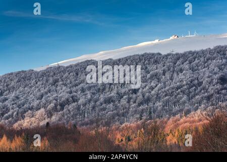 Refuge, cabane de bois Chatka Puchatka ' ' en Bieszczady Carpates à l'hiver. Banque D'Images