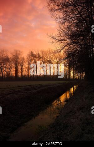 Lever de soleil rougeâtre à Diessen, aux Pays-Bas avec les silhouettes d'arbre VI Banque D'Images