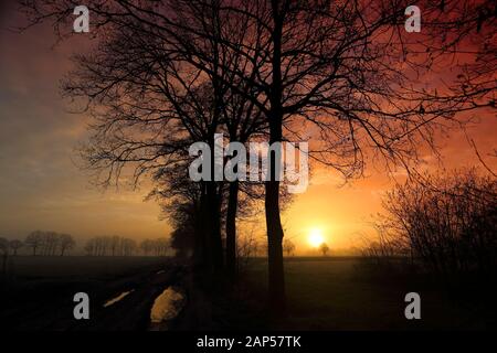 Lever de soleil rougeâtre à Diessen, aux Pays-Bas avec les silhouettes d'arbre V Banque D'Images