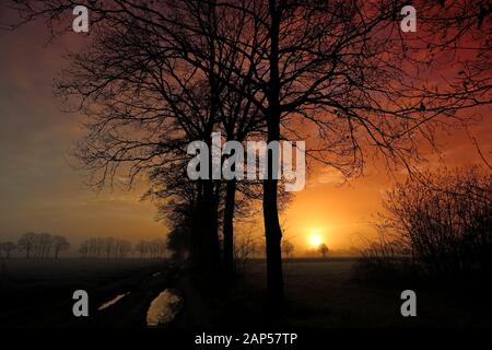 Lever de soleil rougeâtre à Diessen, aux Pays-Bas avec les silhouettes d'arbre IV Banque D'Images