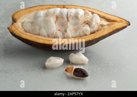 Moitié frais fruits de cacao avec des grains de cacao visible Banque D'Images