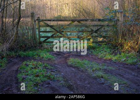 Ancienne clôture fermée à la prairie en hiver Banque D'Images
