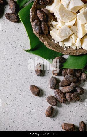 Des morceaux de haché beurre de cacao biologique dans l'artisanat en céramique et les fèves de cacao sur vert feuille exotique monstera sur gray background. Mise à plat Banque D'Images