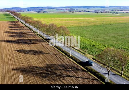 Bockenem, Allemagne. 21 Jan, 2020. Les voitures roulent à travers une avenue, près de l'arrondissement de Nette (vue aérienne avec drone). Credit : Hauke-Christian Dittrich/dpa/Alamy Live News Banque D'Images