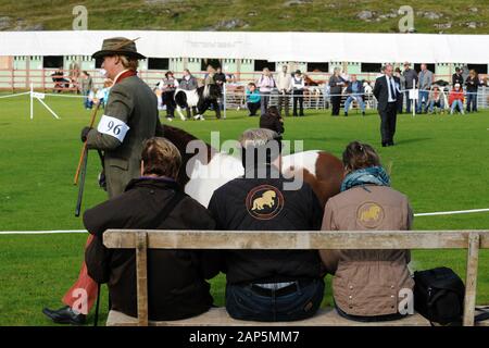 Shetland Pony Festival et Breed show qui a eu lieu à Shetland en 2009 Banque D'Images