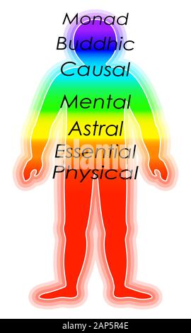 La croissance spirituelle, de couleur arc-en-couches du corps masculin. L'éthérique, émotionnel, métalliques, astral, céleste, et les couches. Vecto isolés Illustration de Vecteur