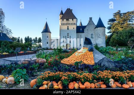 France, Indre et Loire, Loire Anjou Touraine Parc Naturel Régional, le Château du Rivau Lemere, jardins, le potager de Gargantua en octobre, les cucurbitacées un Banque D'Images