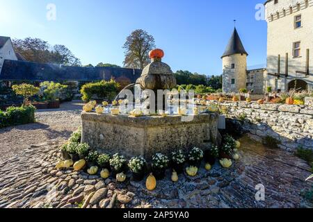 France, Indre et Loire, Loire Anjou Touraine Parc Naturel Régional, le Château du Rivau Lemere, jardins, fontaine et la courge dans le service du château quar Banque D'Images