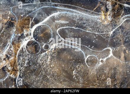 Motif abstrait de glace dans la flaque Banque D'Images