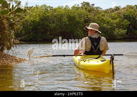 Homme en kayak; passage du héron blanc, oiseau; nature; pagayage; gilet d'hydratation; loisirs; voie navigable; exercice; Parc national Lovers Key; Estero; FL; Floride; Banque D'Images