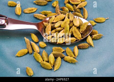 Gros plan de cuillère isolée pleine de graines de gousses de cardamome sèches sur un vieux plat bleu de chine rayé Banque D'Images