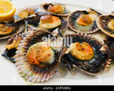 Pétoncles grillés aux couleurs vives avec herbes et ail sur une plaque blanche Banque D'Images