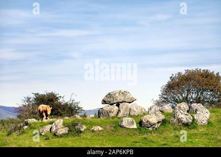 Carrowmore complexe funéraire mégalithique néolithique de plus de 5000 ans sous Knocknarea Mt., Sligo, Irlande. Tombe 7 tombe de passage avec cercle de périmètre de pierre Banque D'Images