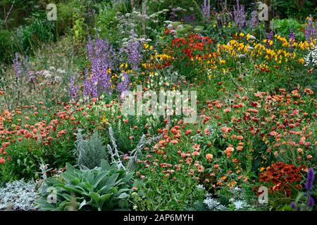 Linaria purpurea oeuf poché,stachys byzantina,Salvia sclarea,eryngium guatemalense,tagetes cinabre,l'alstroemeria, Zeolights,fleurs,Calendula flowerin Banque D'Images