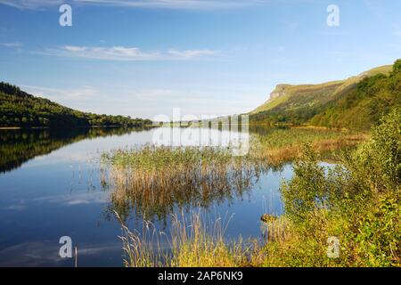 Glencar Lough se trouve au sud-est de la montagne Benbulbin, Comté de Sligo, Irlande. À l'ouest à travers les roseaux sur la rive nord. La fin de l'été. Lindos Mare Banque D'Images