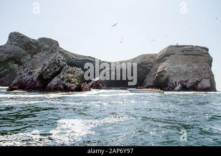 Visite en bateau des lions de mer et des oiseaux sur un rocher dans le parc national de Paracas Banque D'Images