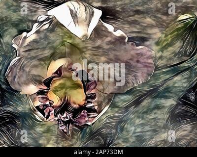 Fleur D'Iris Abstraite. Rendu tridimensionnel Banque D'Images